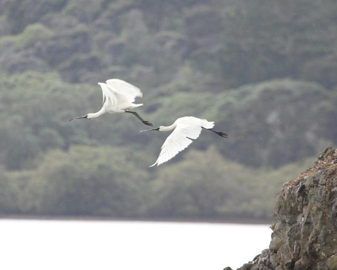 Aroha Island Βίλα Kerikeri Εξωτερικό φωτογραφία